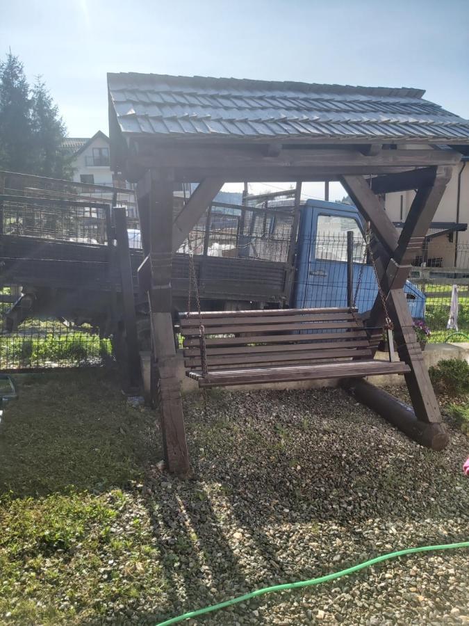 Borşa Casa Ika&Mateiヴィラ エクステリア 写真