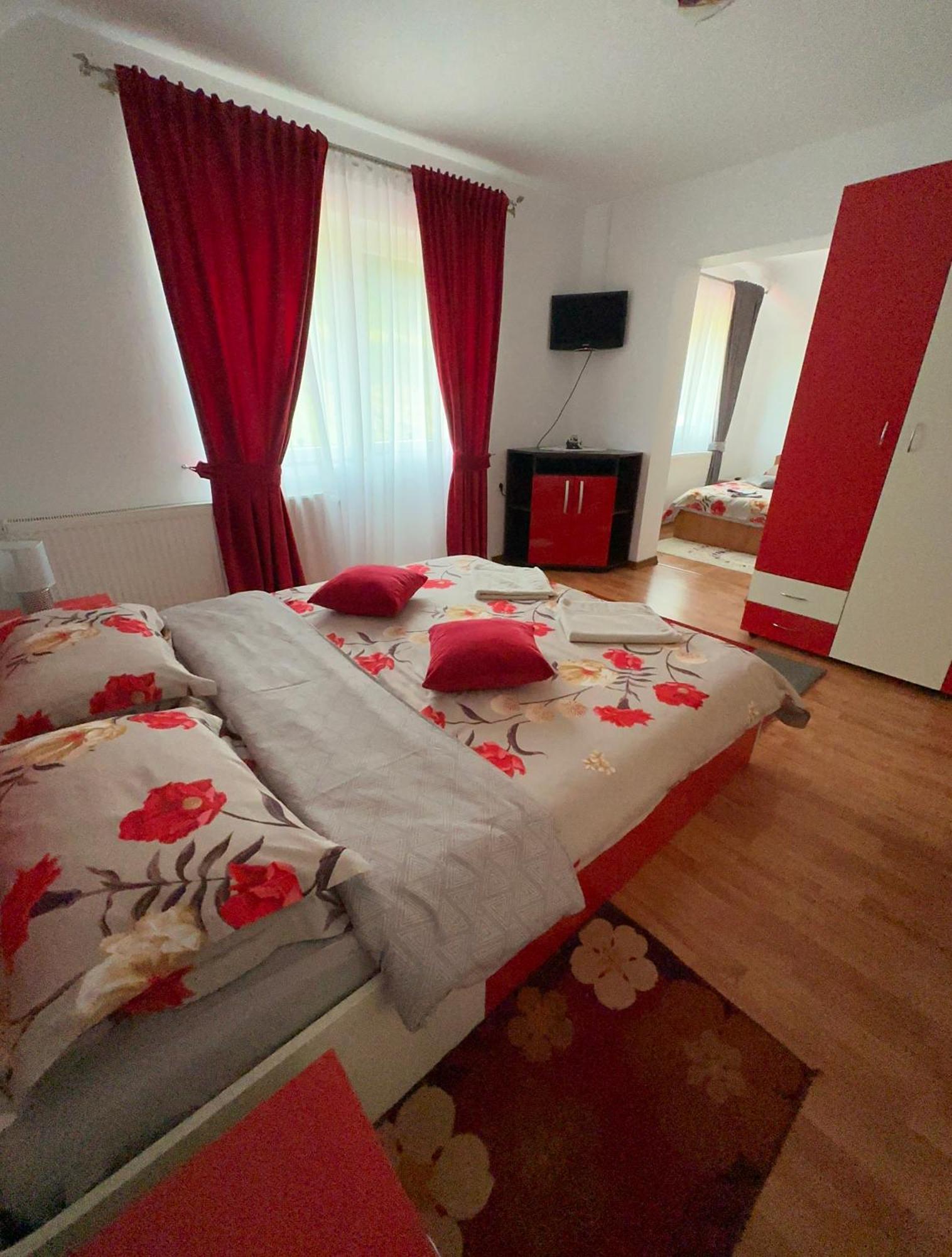 Borşa Casa Ika&Mateiヴィラ エクステリア 写真