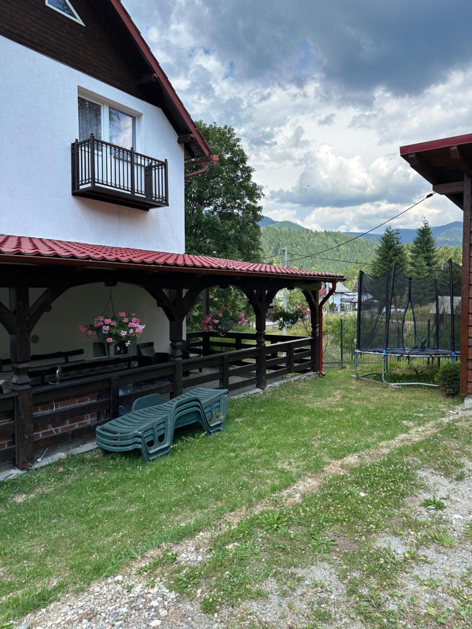 Borşa Casa Ika&Mateiヴィラ エクステリア 写真